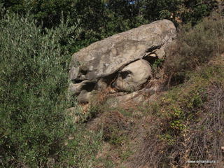 ano Margi-27-08-2014 09-56-51